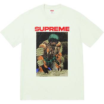 Supreme Ronin Tee T-shirts Mintgroen | NL238KI